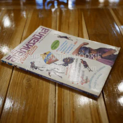 อิเล็กทรอนิกส์สมัครเล่น ฉบับที่ 19 รูปที่ 2