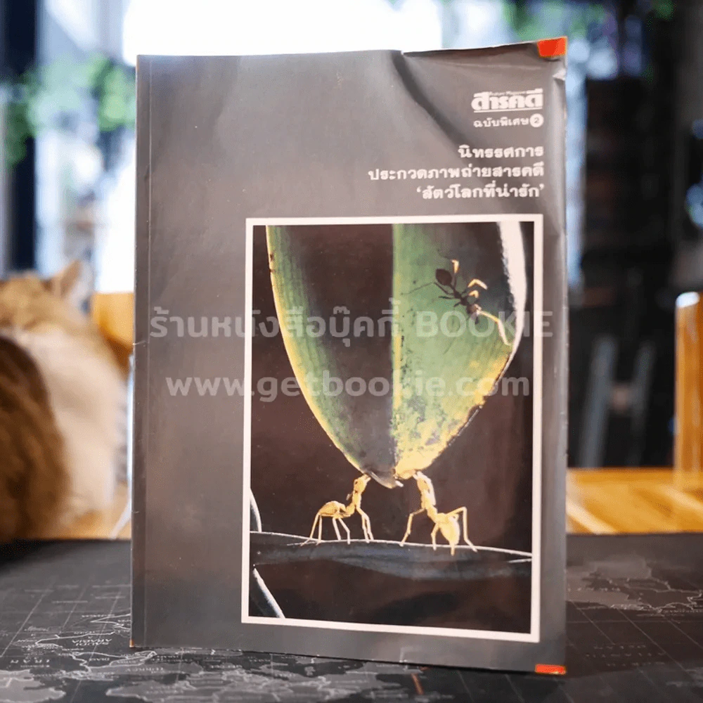 สารคดีฉบับพิเศษ 2 นิทรรศการประกวดภาพถ่ายสารคดี สัตว์โลกที่น่ารัก รูปที่ 1