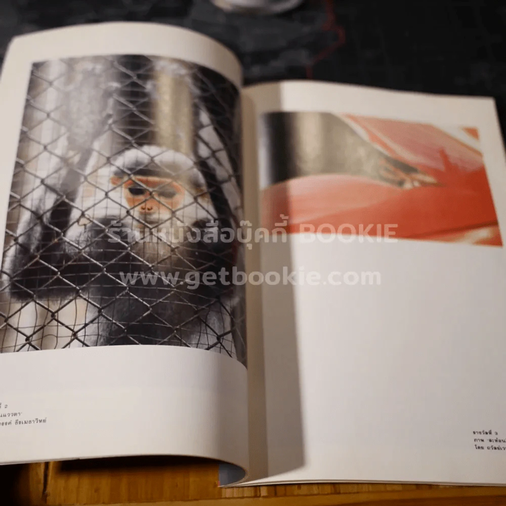 สารคดีฉบับพิเศษ 2 นิทรรศการประกวดภาพถ่ายสารคดี สัตว์โลกที่น่ารัก รูปที่ 4