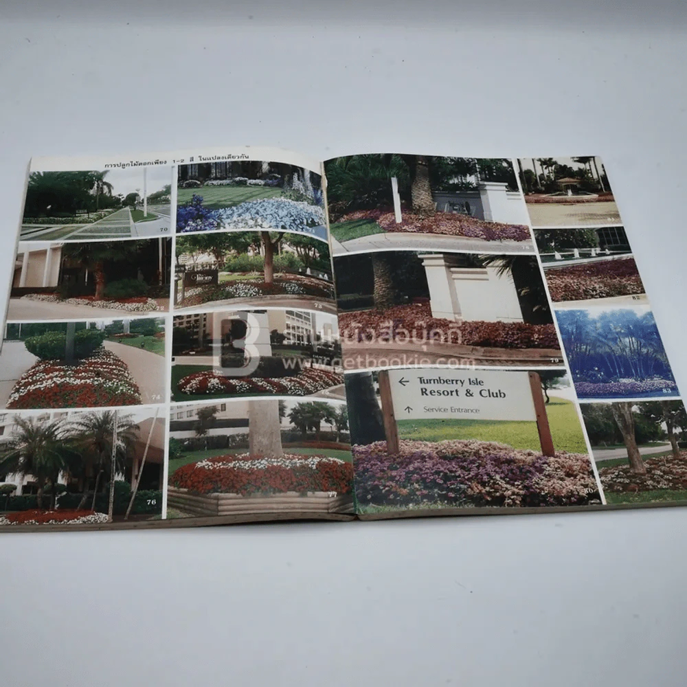 วันต้นไม้ประจำปีแห่งชาติ 2539 รูปที่ 4
