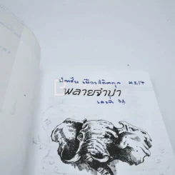 พลายจำปา - ลมุล รัตตากร รูปที่ 3