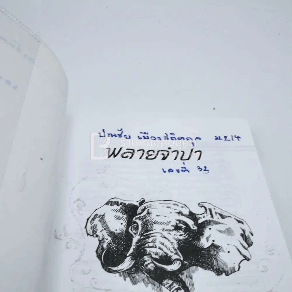 พลายจำปา - ลมุล รัตตากร รูปที่ 3