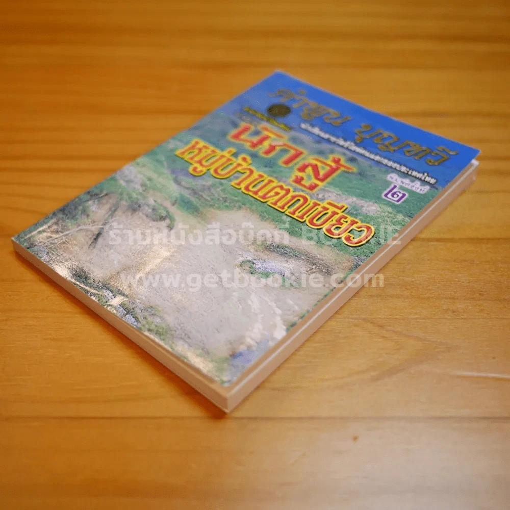 นักสู้หมู่บ้านตกเขียว - คำพูน บุญทวี รูปที่ 3
