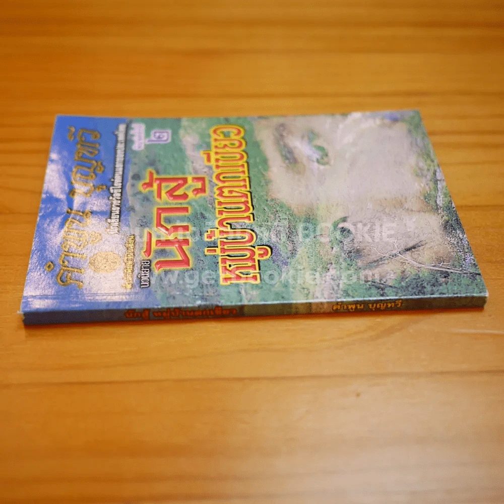 นักสู้หมู่บ้านตกเขียว - คำพูน บุญทวี รูปที่ 2