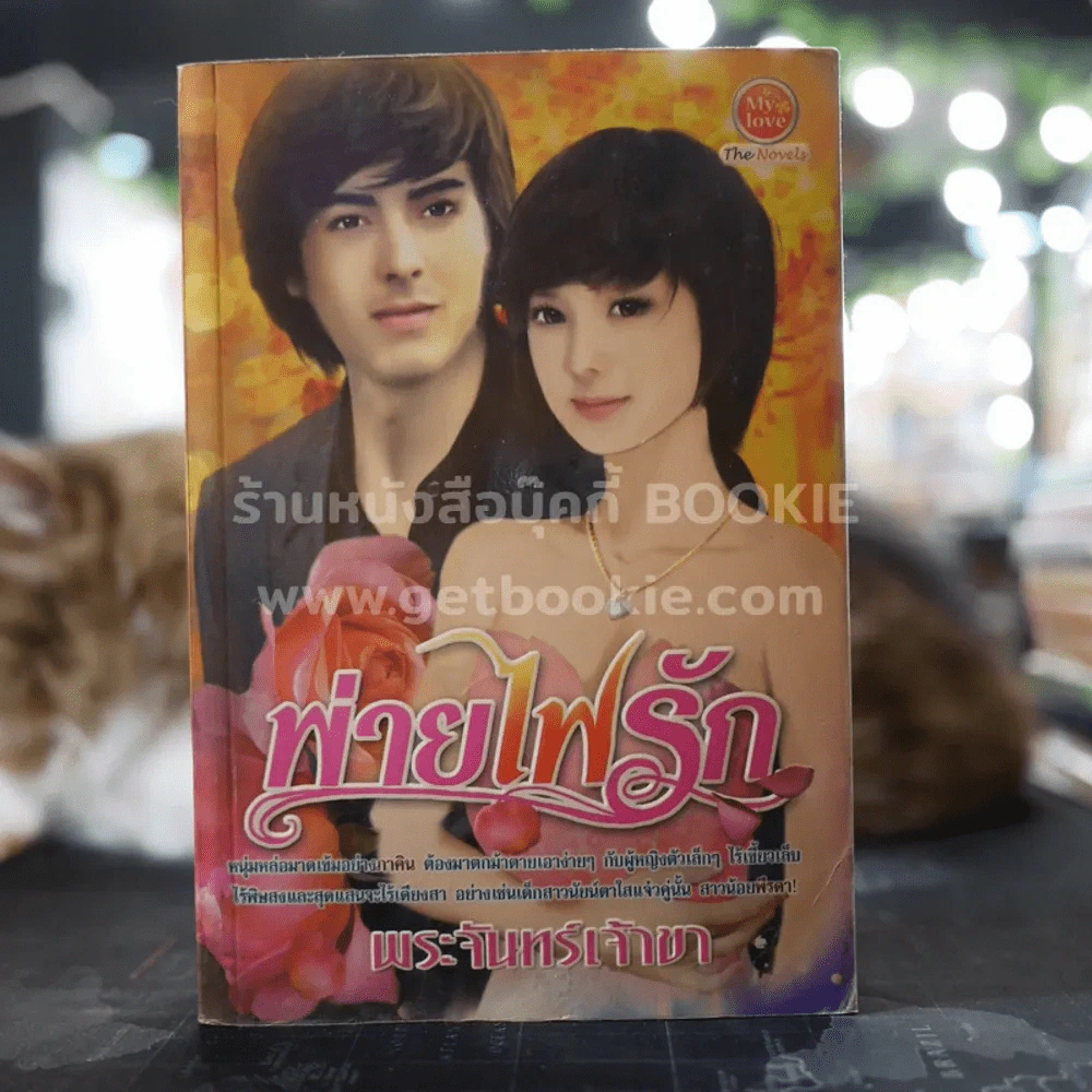 พ่ายไฟรัก - พระจันทร์เจ้าขา รูปที่ 1
