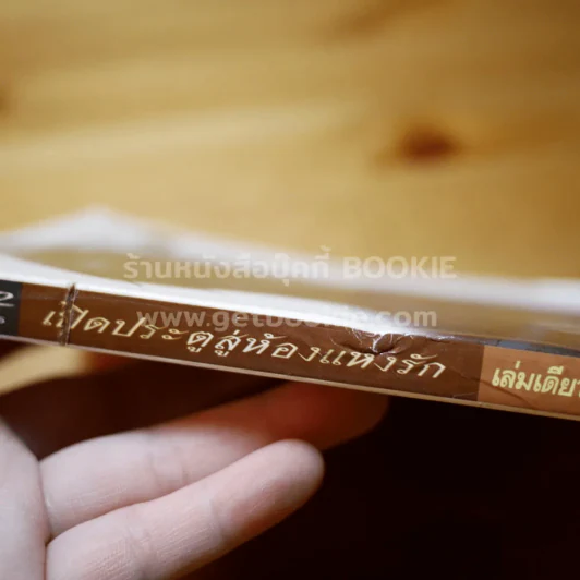 เปิดประตูสู่ห้องแห่งรัก รูปที่ 3