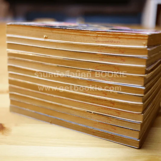 ฤทธิ์หมัดดราก้อน เล่ม 1-12 รูปที่ 4