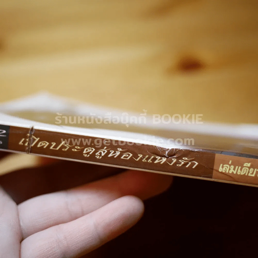 เปิดประตูสู่ห้องแห่งรัก รูปที่ 3