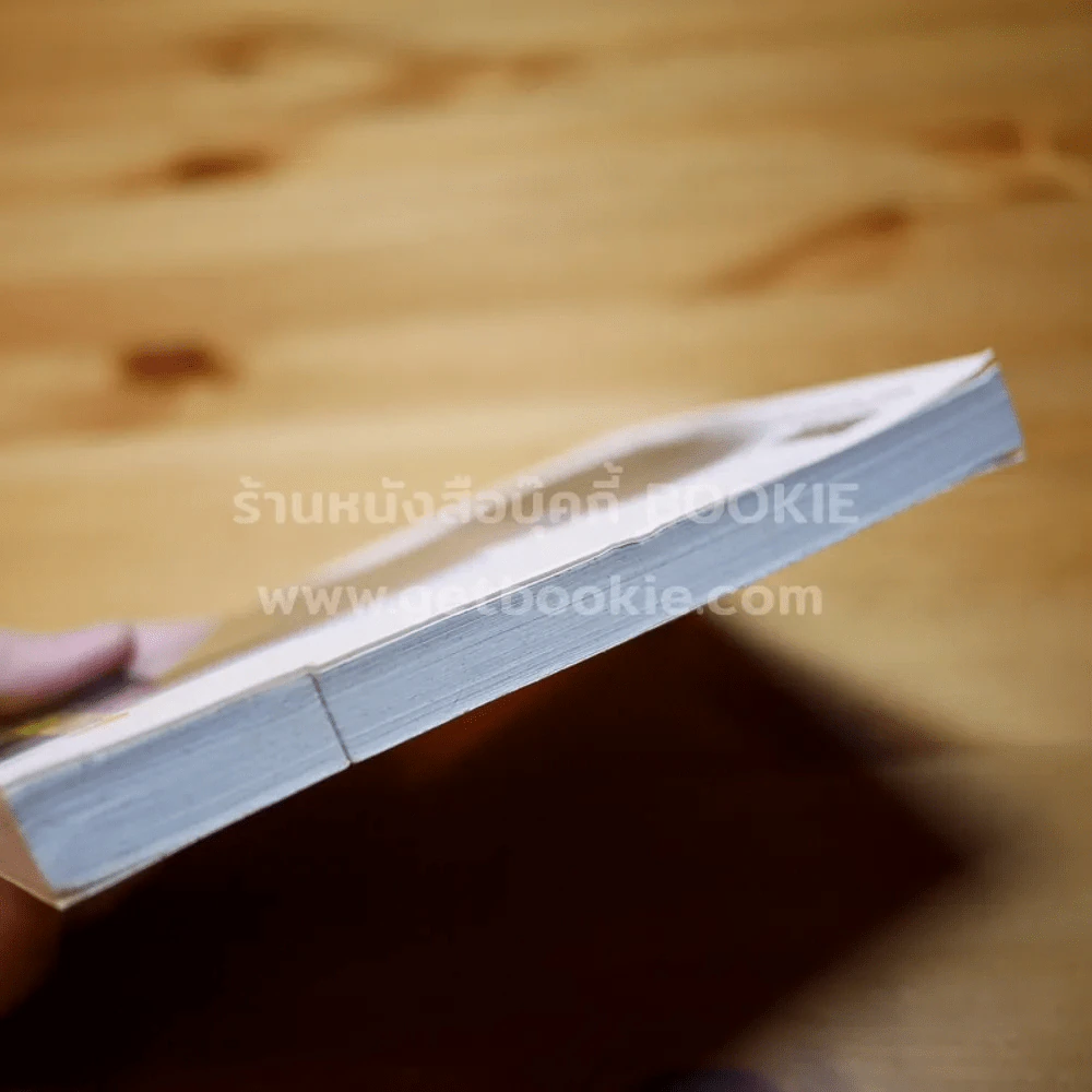 เปิดประตูสู่ห้องแห่งรัก รูปที่ 4