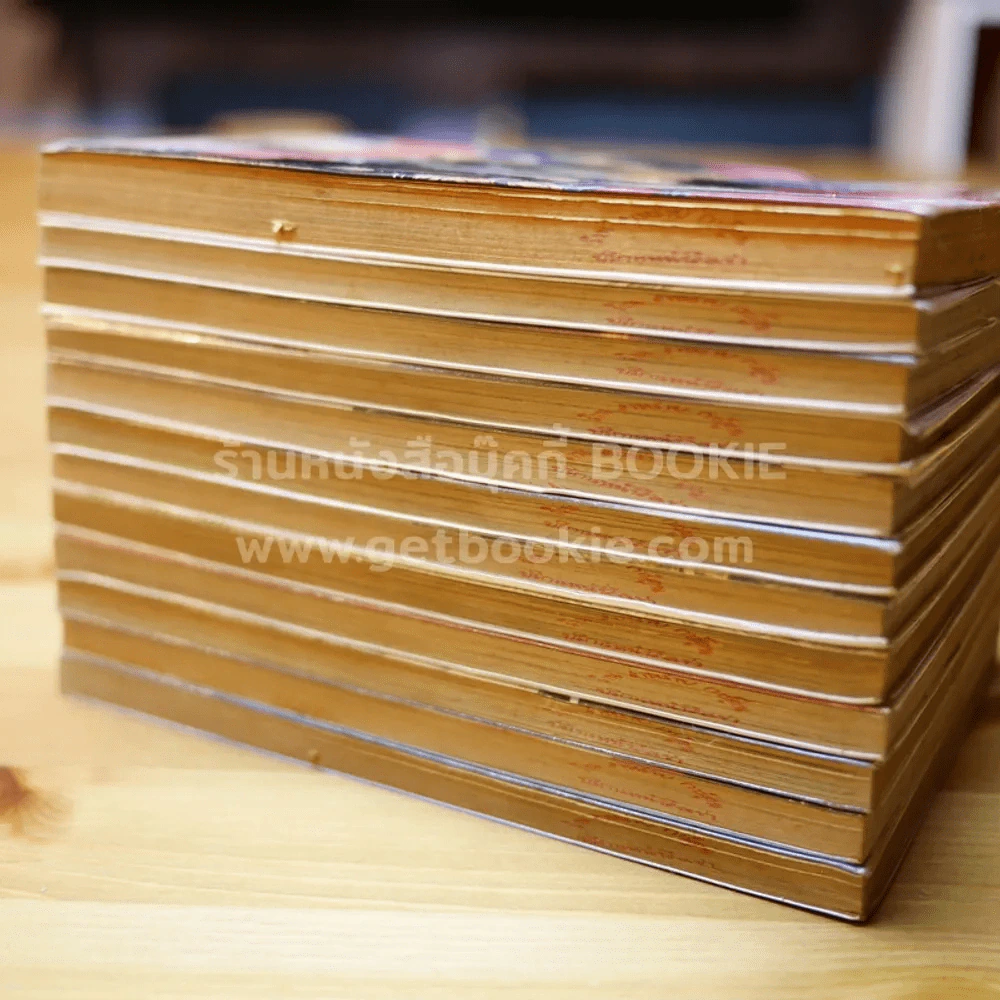 ฤทธิ์หมัดดราก้อน เล่ม 1-12 รูปที่ 4
