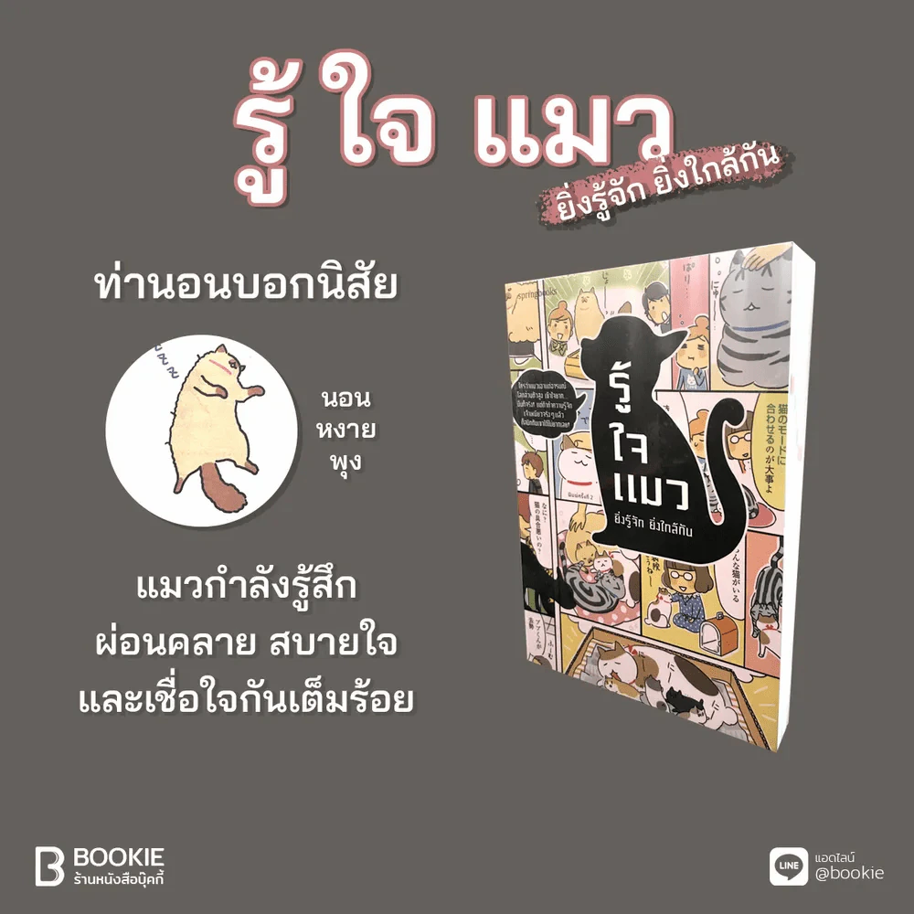 รู้ใจแมว ยิ่งรู้จัก ยิ่งใกล้กัน รูปที่ 3