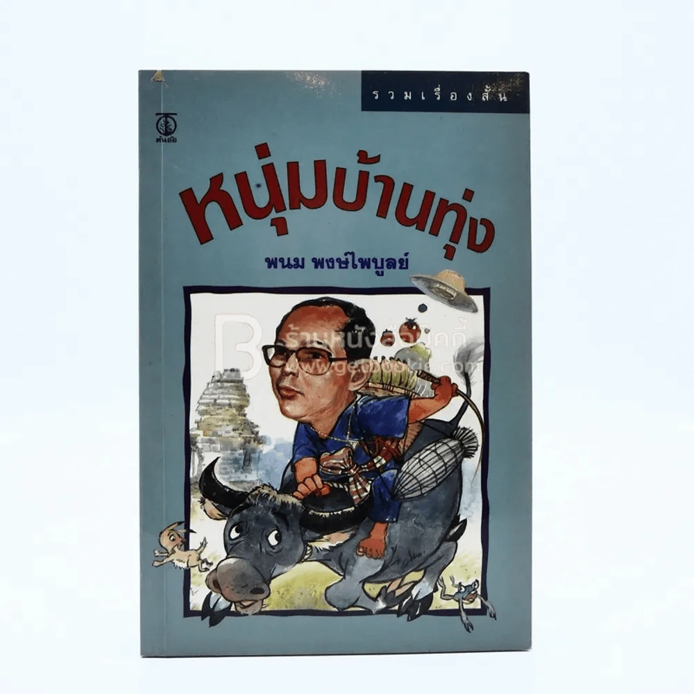หนุ่มบ้านทุ่ง - พนม พงษ์ไพบูลย์ รูปที่ 1