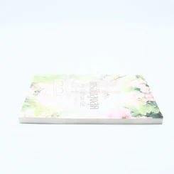 พรอันสูงสุด The Ultimate Gift รูปที่ 3