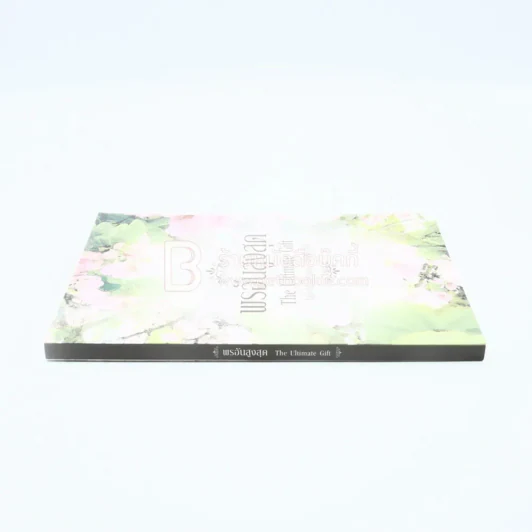 พรอันสูงสุด The Ultimate Gift รูปที่ 2