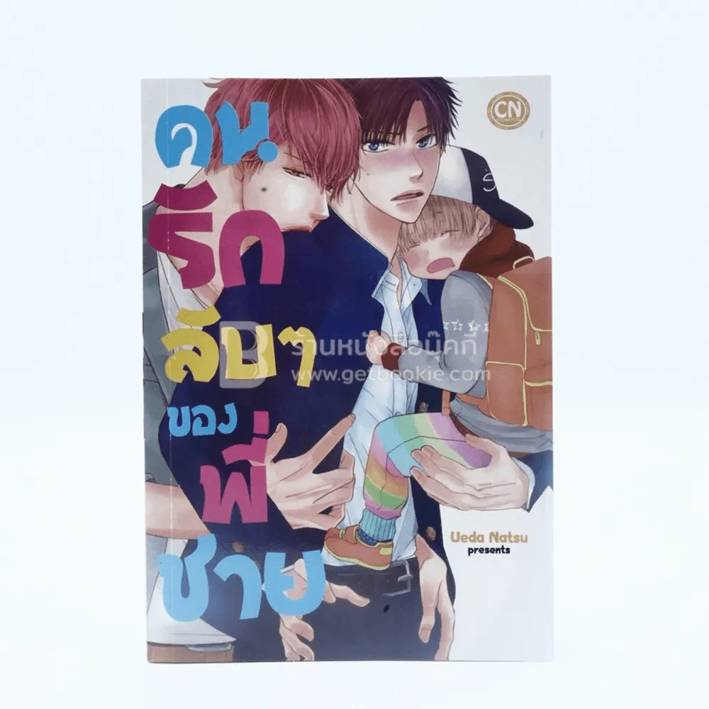 คนรักลับๆของพี่ชาย (สภาพดี) รูปที่ 1