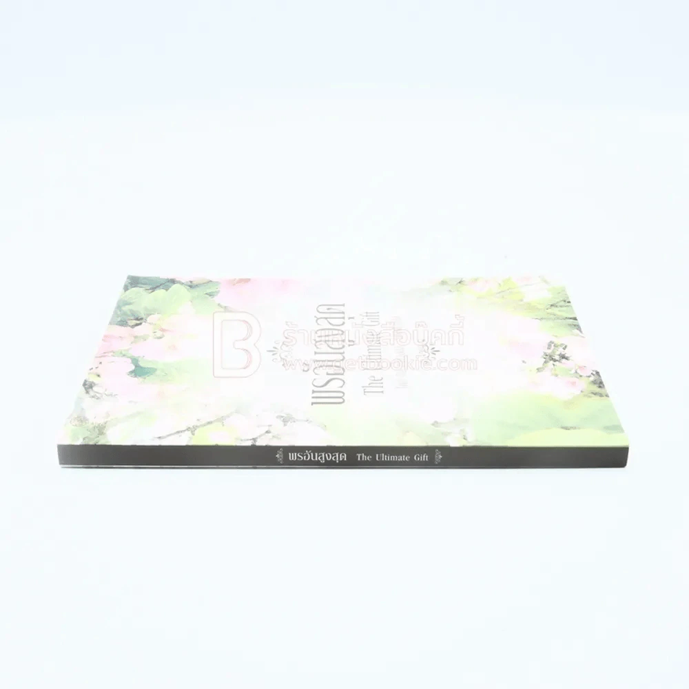 พรอันสูงสุด The Ultimate Gift รูปที่ 2