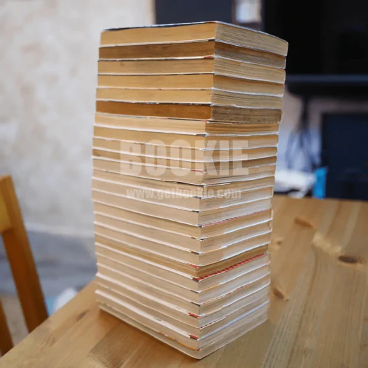 เรียกเขาว่าอีกา 26 เล่มจบ + ภาคพิเศษ 3 เล่มจบ รูปที่ 2