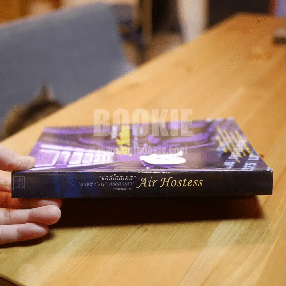 Air Hostess แอร์โฮสเตส นางฟ้า หรือ เหยื่อตัณหา บนเครื่องบิน รูปที่ 2