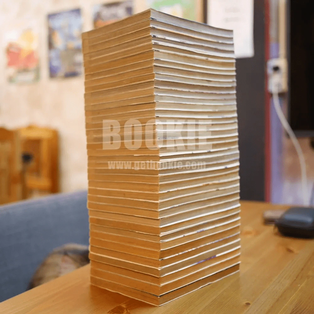 Vagabond เล่ม 1-37 รูปที่ 6