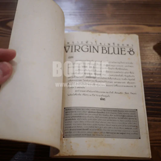 VIRGIN BLUE เพราะหัวใจเพรียกหา 8 เล่มจบ รูปที่ 6