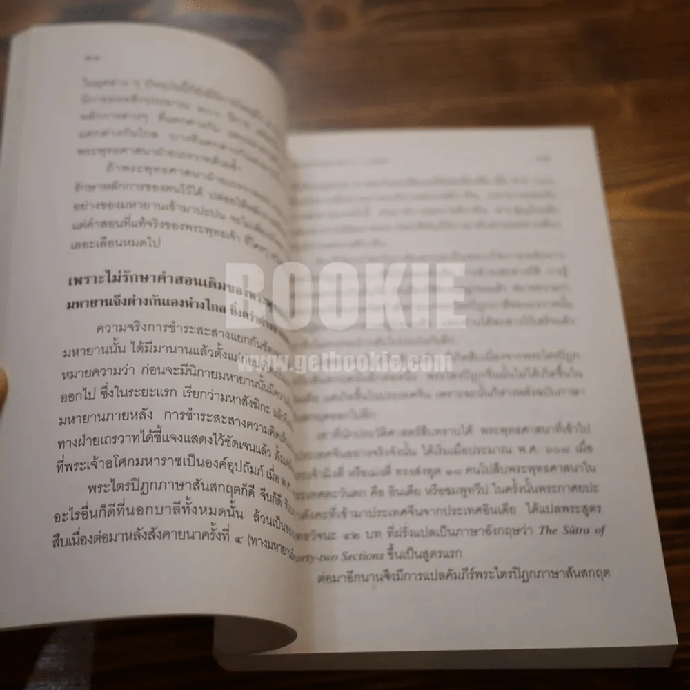 กรณีธรรมกาย - พระธรรมปิฎก (ป.อ. ปยุตฺโต) รูปที่ 4