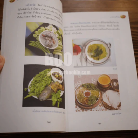 สารานุกรมไทยสำหรับเยาวชน ฉบับเสริมการเรียนรู้ เล่ม 2 อาหารไทย,โภชนาการ,การปลูกพืชไร้ดิน รูปที่ 7