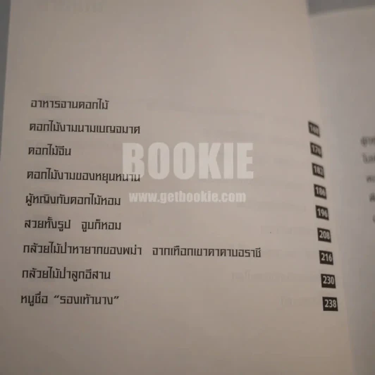 เรื่องของดอกไม้ Flowers - ม.ล.จารุพันธ์ ทองแถม รูปที่ 8