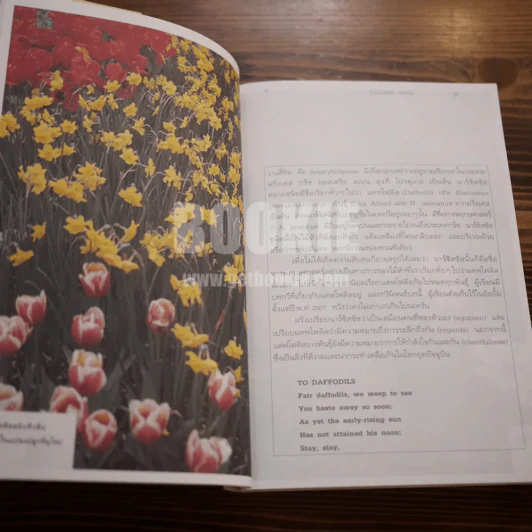 เรื่องของดอกไม้ Flowers - ม.ล.จารุพันธ์ ทองแถม รูปที่ 10