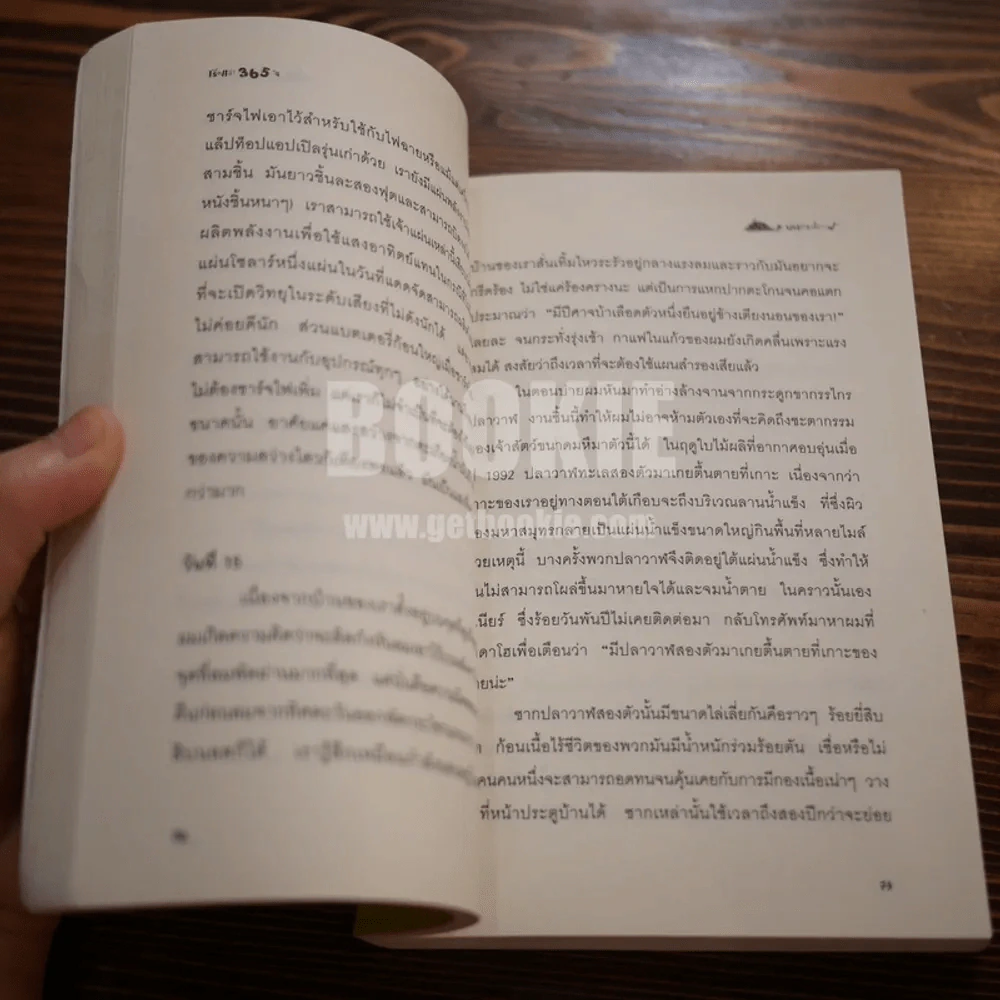 เรื่องเล่า 365 วันบนเกาะปลาวาฬ On Whale Island รูปที่ 7
