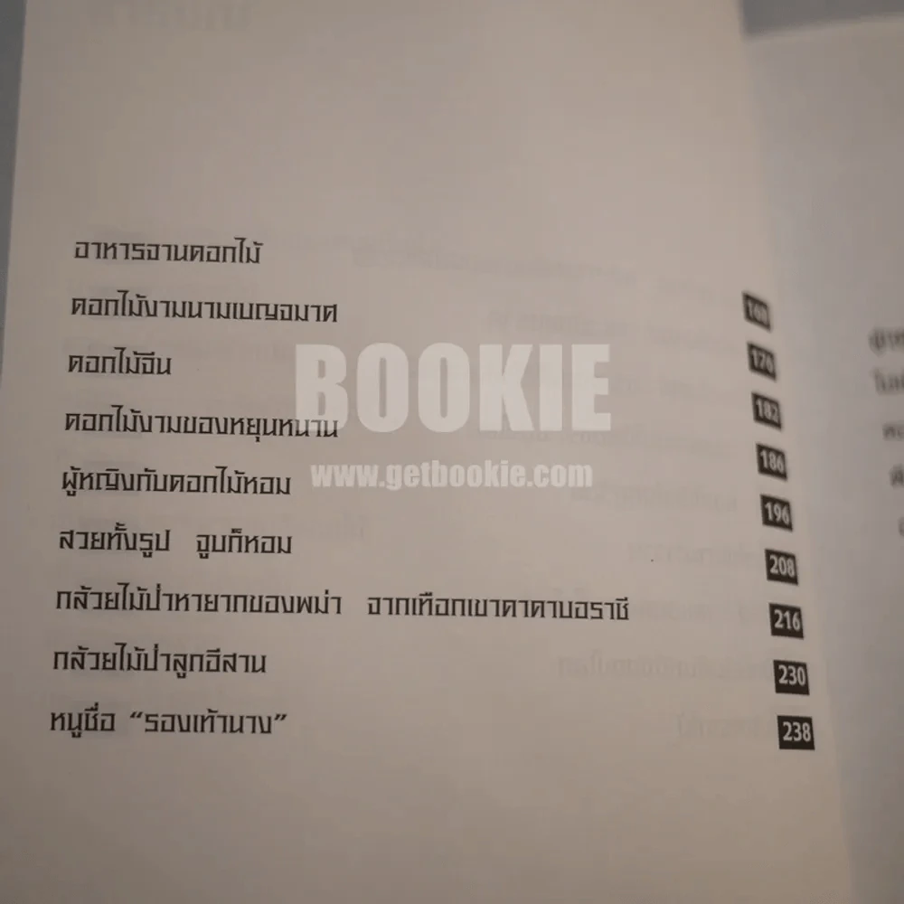 เรื่องของดอกไม้ Flowers - ม.ล.จารุพันธ์ ทองแถม รูปที่ 8