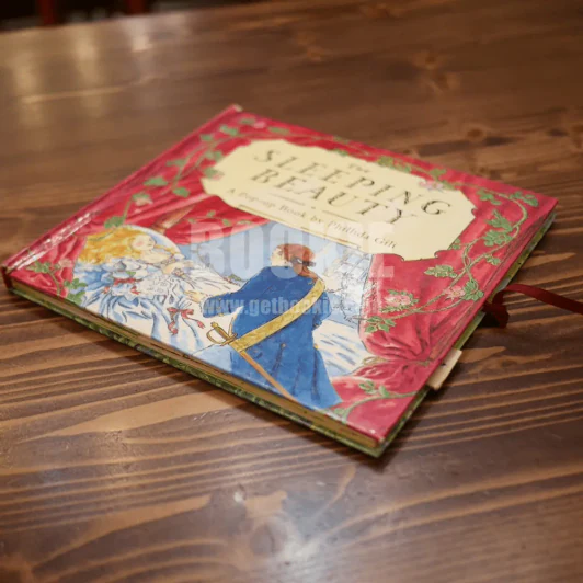 The Sleeping Beauty A Pop-up Book by Phillida Gili รูปที่ 3