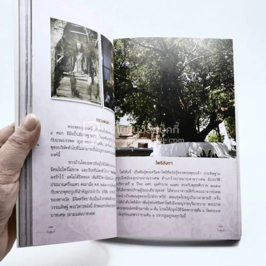 ประวัติวัดสระเกศราชวรมหาวิหาร กรุงเทพมหานคร รูปที่ 3
