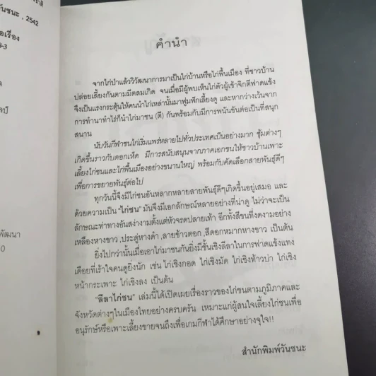 ลีลาไก่ชน - ธนาคม รูปที่ 11