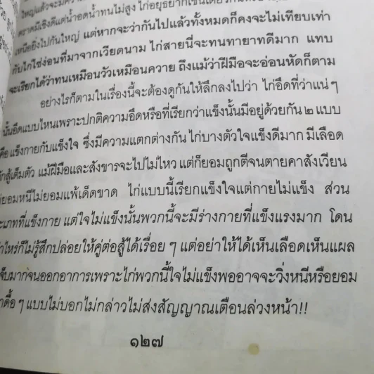 ลีลาไก่ชน - ธนาคม รูปที่ 9