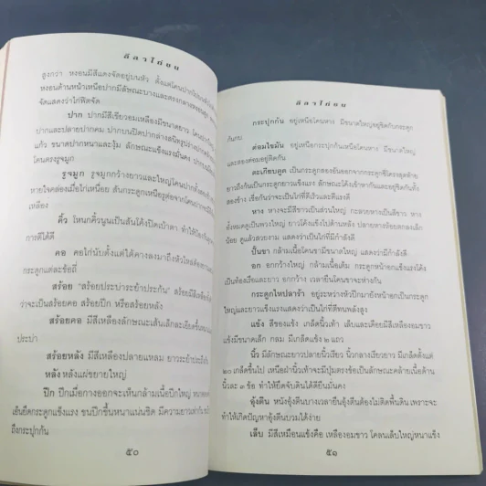 ลีลาไก่ชน - ธนาคม รูปที่ 5