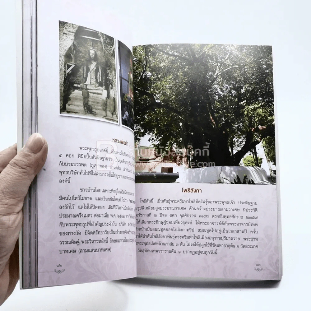 ประวัติวัดสระเกศราชวรมหาวิหาร กรุงเทพมหานคร รูปที่ 3