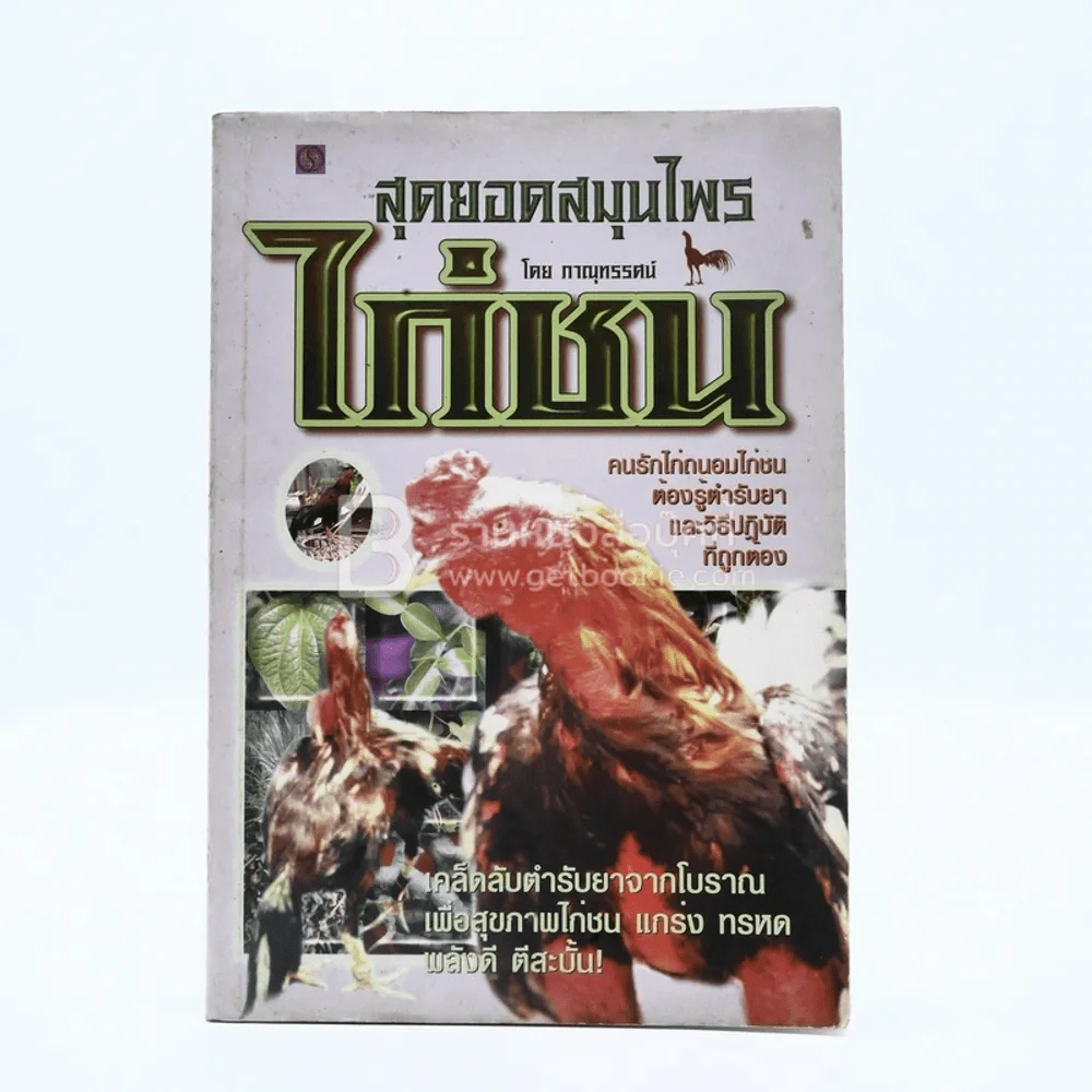 สุดยอดสมุนไพรไก่ชน รูปที่ 1