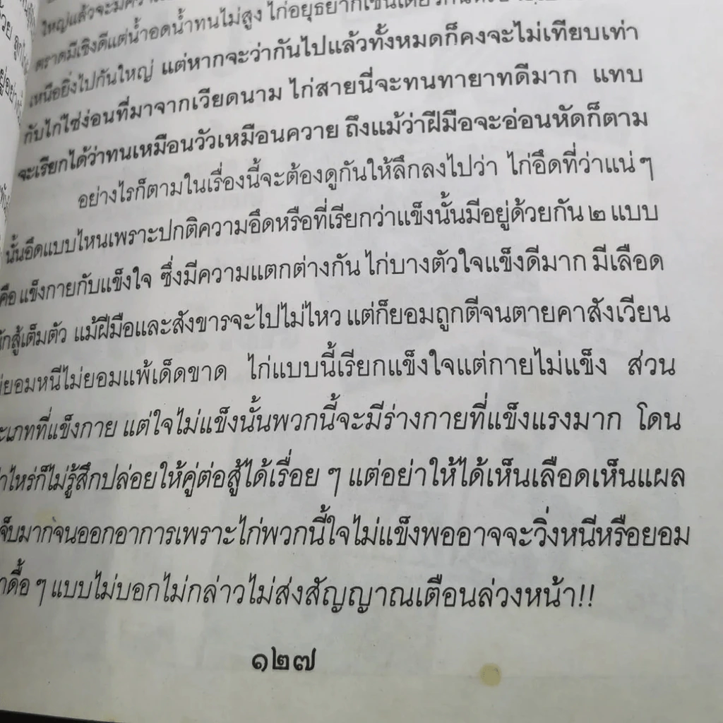 ลีลาไก่ชน - ธนาคม รูปที่ 9