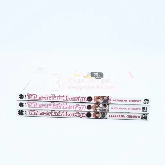 ไมไมกะสาวใสหัวใจการ์ตูน 3 เล่มจบ รูปที่ 2