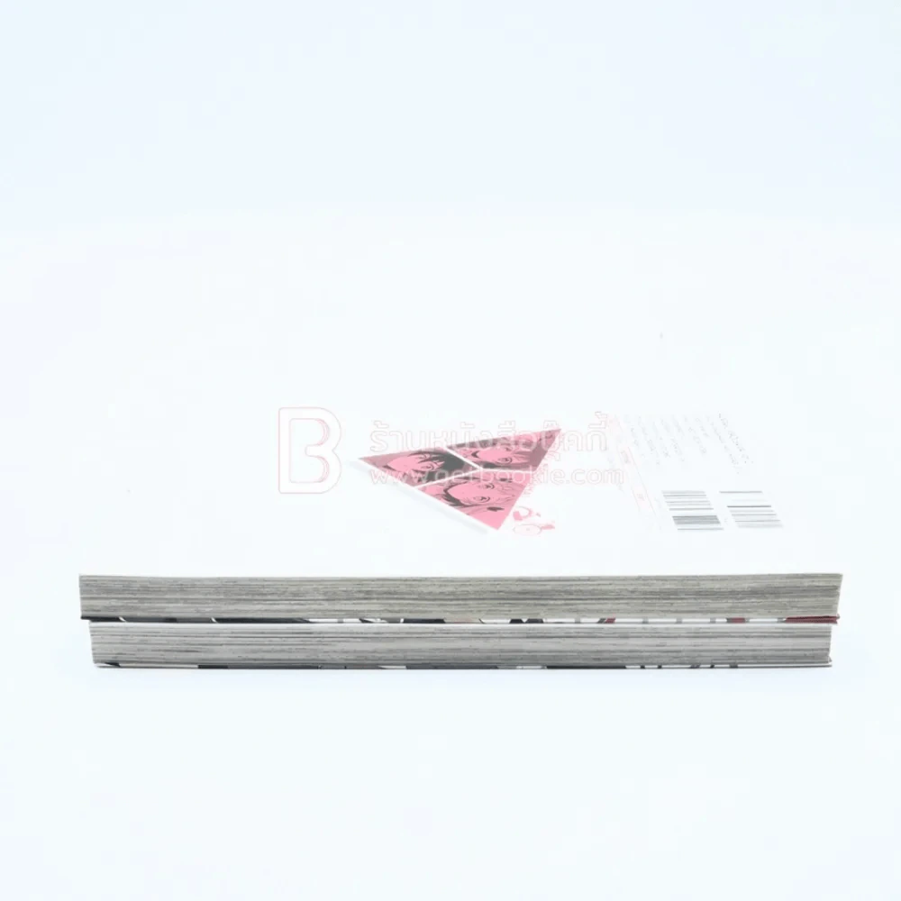 ผู้กล้าซึนซ่าส์จอมมารสู้ชีวิต เล่ม 1-2 รูปที่ 3