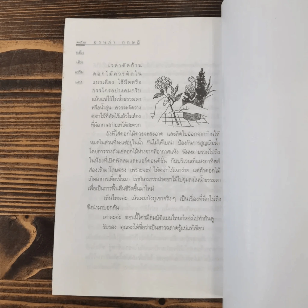 แต้ม เติม เสริม แต่ง เล่ม 1-4 - อรนภา กฤษฎี รูปที่ 24