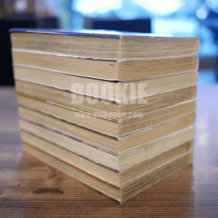 Gunnm ไซเบอร์เพชฌฆาต 9 เล่มจบ รูปที่ 3