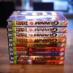 Gunnm ไซเบอร์เพชฌฆาต 9 เล่มจบ รูปที่ 2