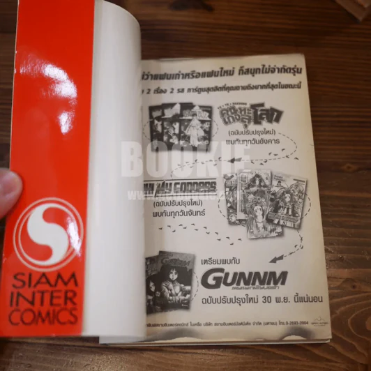 Gunnm ไซเบอร์เพชฌฆาต 9 เล่มจบ รูปที่ 10