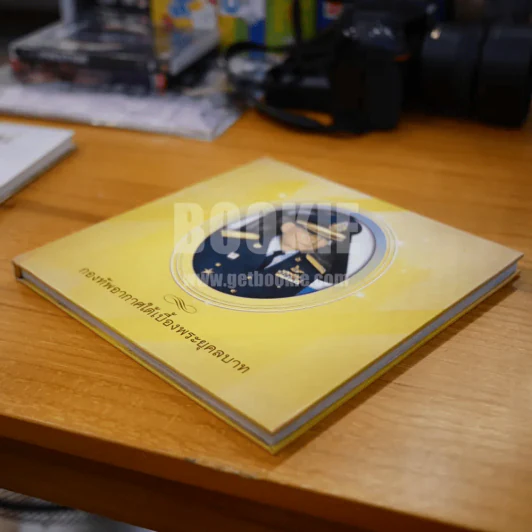 กองทัพอากาศใต้เบื้องพระยุคลบาท รูปที่ 3