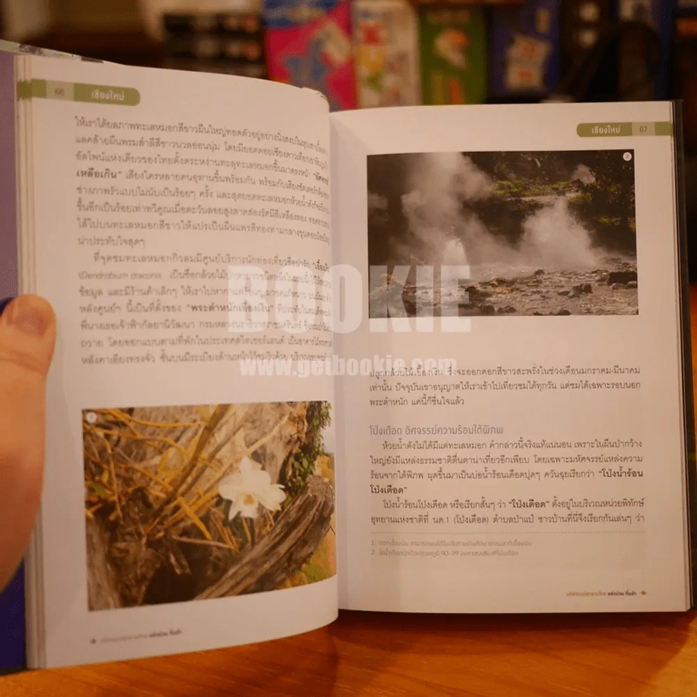 มหัศจรรย์อุทยานไทย แอ่วม่วน กิ๋นลำ รูปที่ 5