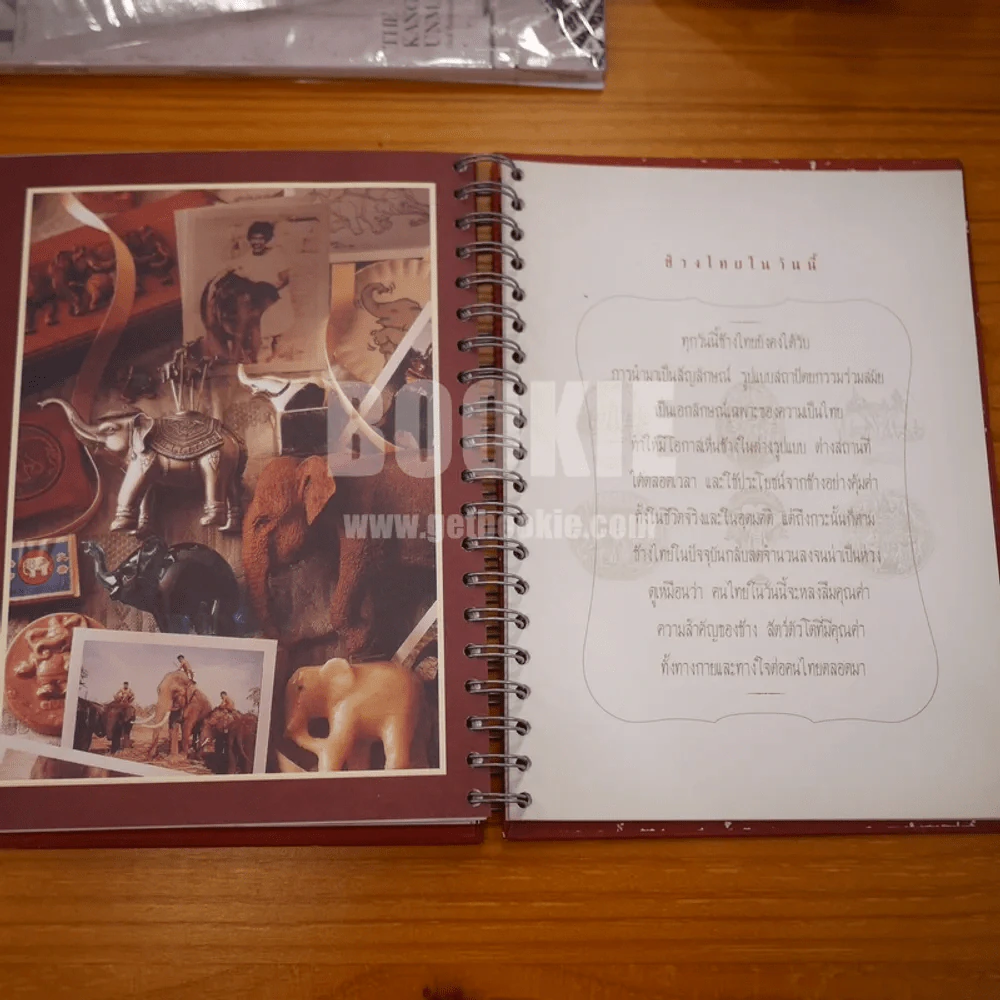 บันทึก 2545 สืบสานตำนานช้างไทย (สมุดบันทึก) รูปที่ 8