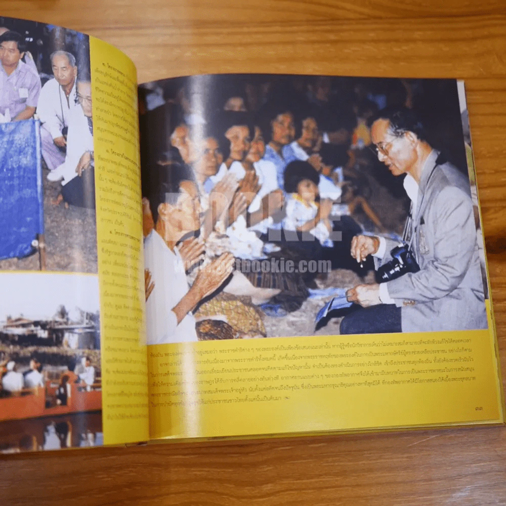 กองทัพอากาศใต้เบื้องพระยุคลบาท รูปที่ 5