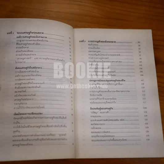 การสร้างสังคมเศรษฐกิจ - ลิลี่ โกศัยยานนท์และคณะ ผู้แปล รูปที่ 8