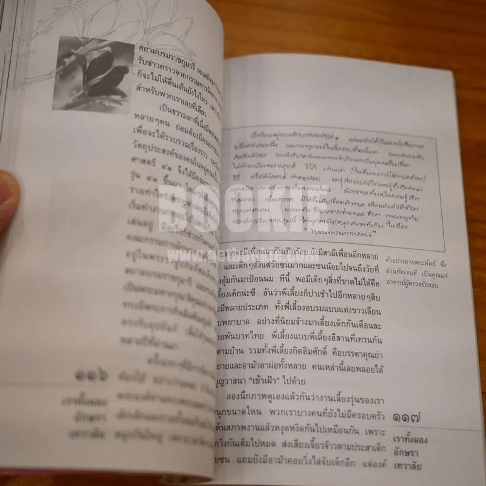 เราทั้งผอง อักษรา เทวาลัย รูปที่ 11